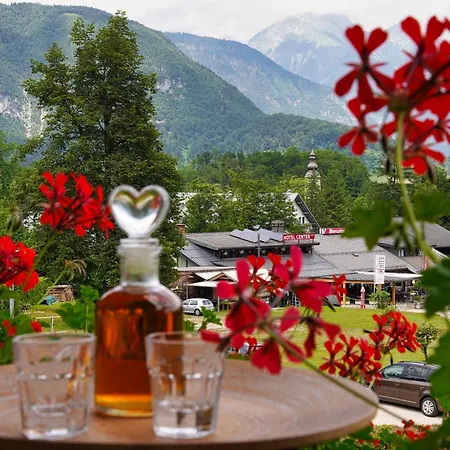 Apartma Simona Apartman