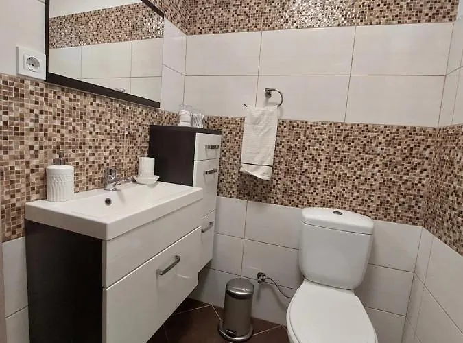 Apartma Simona * 博希尼