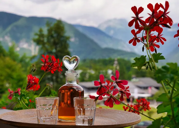 Apartma Simona 公寓 *