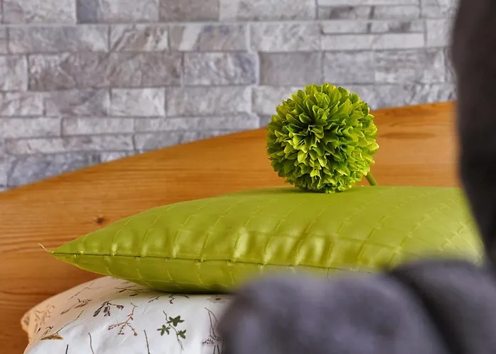 公寓 Apartma Simona 博希尼